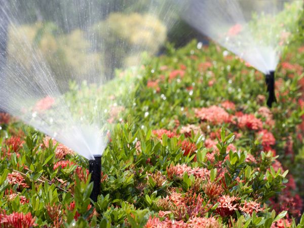 Sprinkler bewässern ein Beet mit roten und grünen blühenden Pflanzen in einem wunderschön gestalteten Garten und zeigen sorgfältige Gartengestaltung.